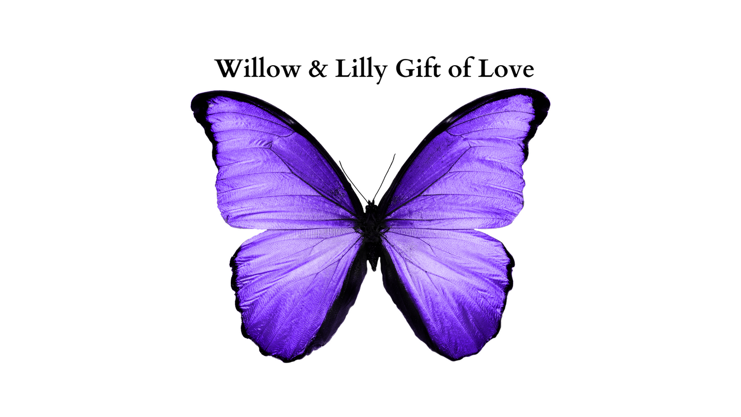 Willow & Lilly Gift Card